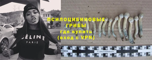 гидропоника Алексин