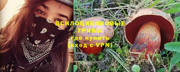 гидропоника Алексеевка