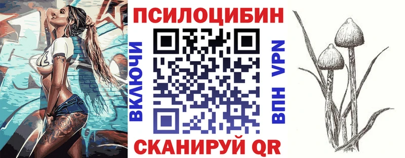 наркошоп  ссылка на мегу ссылки  Псилоцибиновые грибы мухоморы  Новочебоксарск 