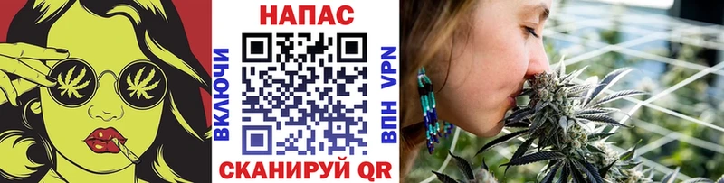 Шишки марихуана планчик  сайты даркнета клад  Новочебоксарск 
